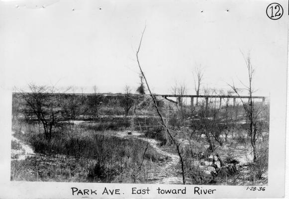 View of land prior to construction of Barkley Park in Paducah. Park Avenue east toward river, January 28, 1936