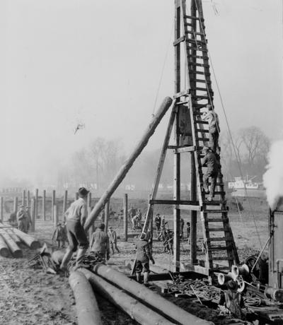 Project #110 District 6: Construction of a harbor for pleasure boats on the Ohio River at Louisville. Driving wooden piles, which will afford a parking arrangement for pleasure boats. Photographed December 9, 1935