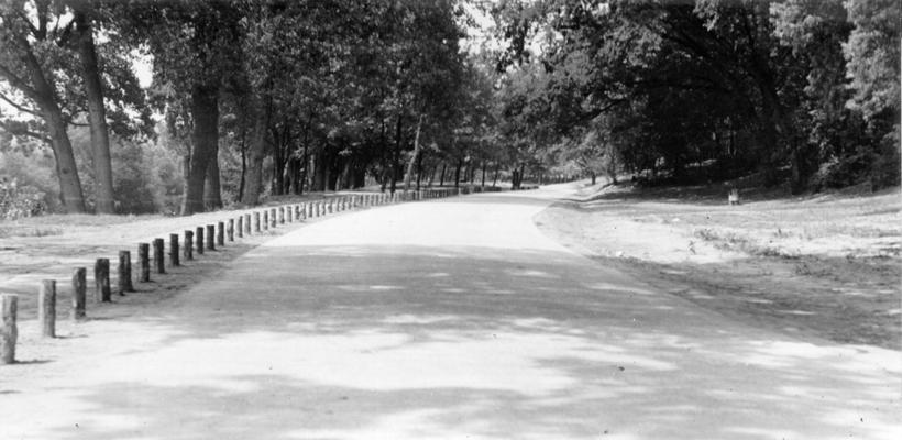 Project #897 District 6: A view, photographed July 22, 1936, of the Lower River Road in Shawnee Park, Louisville, KY, after resurfacing was completed