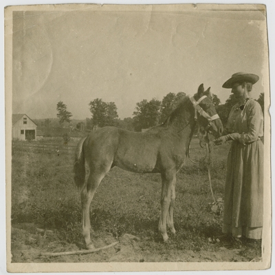 Woman and foal