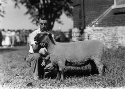 4-H exhibitor with sheep