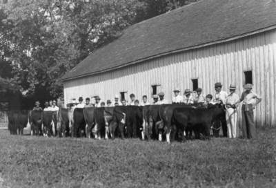 4-H exhibitors with cows
