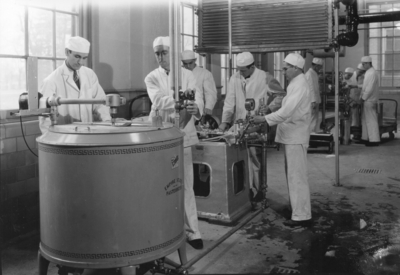 Men in white uniforms working with pasteurizing equipment
