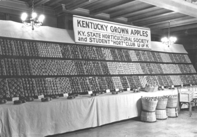 Kentucky-grown apples
