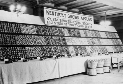 Kentucky-grown apples