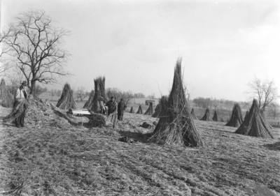 African-American men stacking hemp