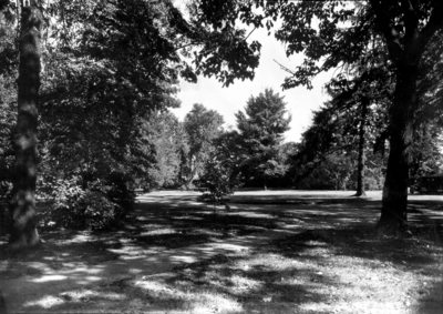 Grounds at Maxwell Place