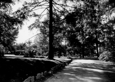 Grounds at Maxwell Place