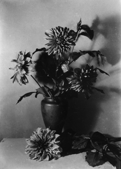 Flower arrangement with dahlias