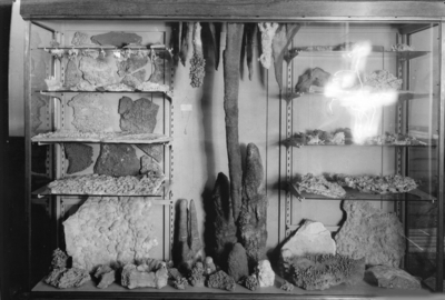 Display of various rock formations, including stalactites and stalagmites