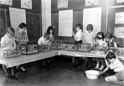 Children making aquariums