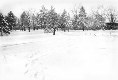 Snow-covered landscape and footprints