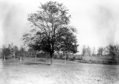Unknown view of farm land