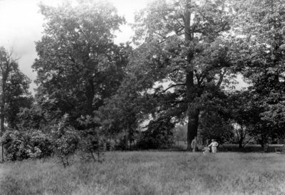 Unidentified people in yard