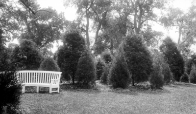 Garden and bench