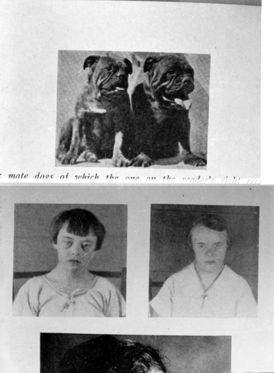 Unidentified book illustrations, dogs and unidentified children