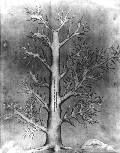 Family tree for Toliver Craig I, drawn by J. W. Craig, II, circa 1854