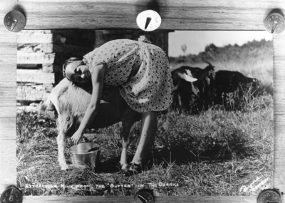 Unidentified woman milking a goat