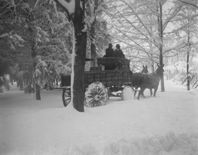 horses pulling a wagon with 2 people in it, in the snow