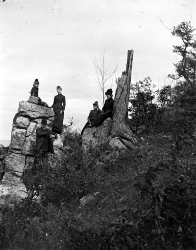 4 women and a man sitting on the side of a hill (2 of the women are sitting on a large rock and 2 of the women are sitting on a rock next to a tree stump)