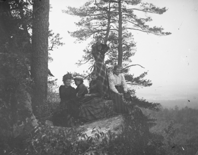 5 women sitting in the forest
