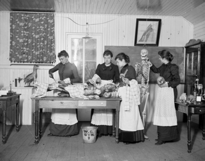 4 women in what appears to be a lab studying the human body