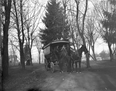 a horse drawn carriage