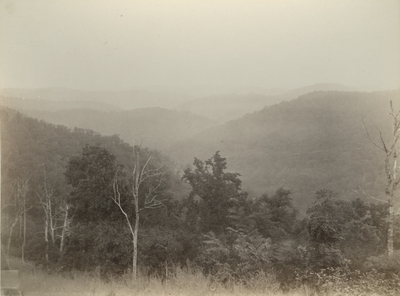View eastward for A. Fox's place in Knox County, Kentucky