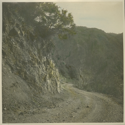 Hand-tinted photograph of a country road