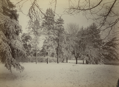 Snow scene taken on the grounds of the Honorable Matthew Johnson in Lexington, Kentucky, March 29, 1883