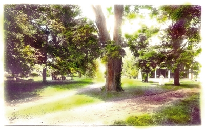 Yard with large tree in center and woman standing in a white dress; Variant print of #120