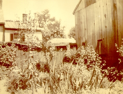 Side of barn with abundant plant growth