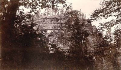 Large rock formation seen through forest view