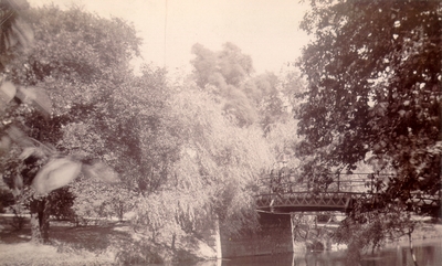 Bridge over stream surrounded by trees; Two women standing on bridge
