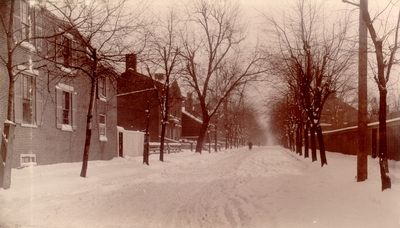 Snow-covered suburban street lined with trees