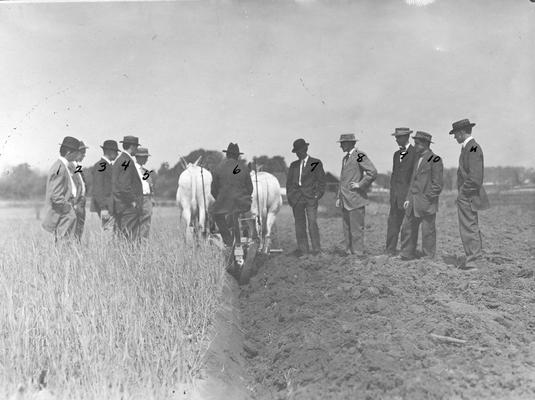 Field trip to a farm