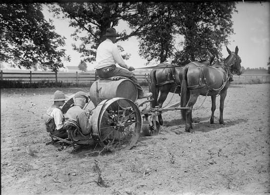 Man driving two horses and pulling two boys on a tobacco setter