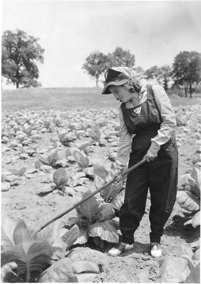 Woman in a field tending tobacco, with W L A, depression era work program emblem sewn on her hat and overalls, circa 1930