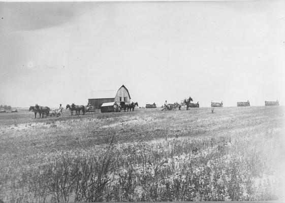 Farmers with mules in field, barn in background, duplicate