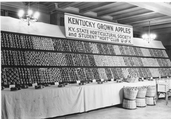 Kentucky Grown Apples display