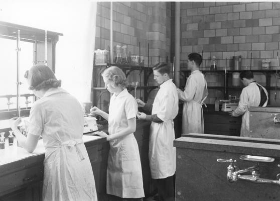 Students working in a laboratory