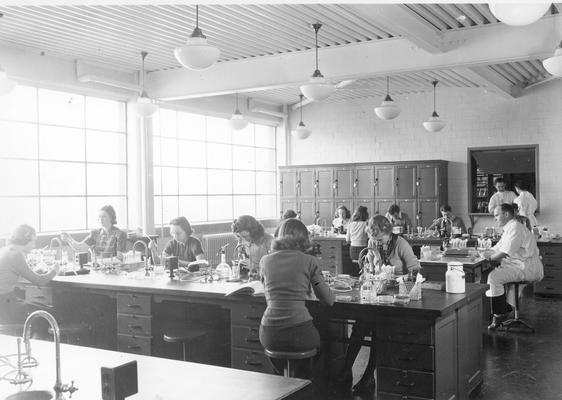 Students working in laboratory