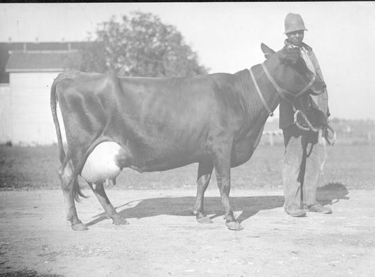 African American man with cow