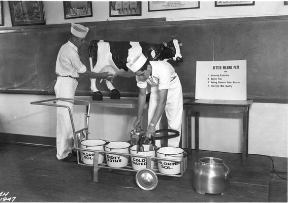 Agriculture students, classroom presentation, milking cow, 1947