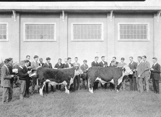 Livestock judging class