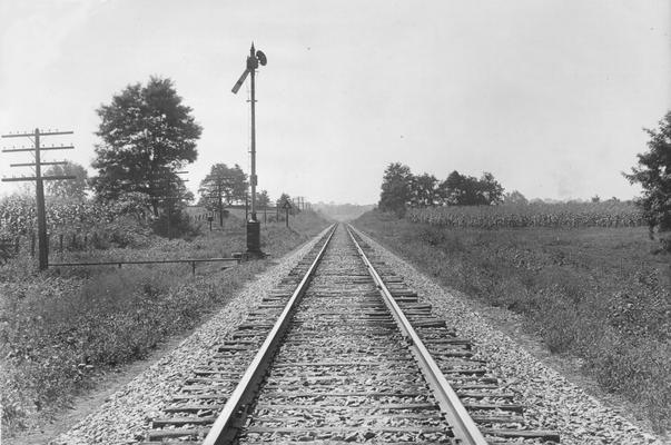 Railroad tracks with signal and cornfields on each side