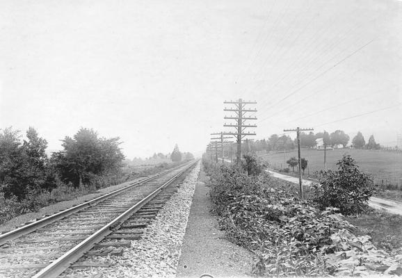 Railroad tracks parallel to road