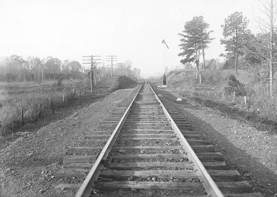 Railroad tracks in wooded area