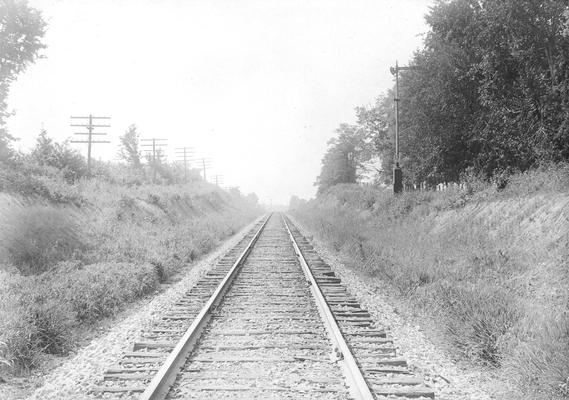 Railroad tracks in wooded area