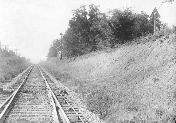 Railroad tracks in wooded area